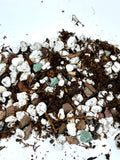 Happy Roots - Premium Aroid Mix (Pre-order)